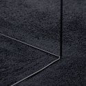  Dywan OVIEDO z krótkim włosiem, czarny, 300x400 cm