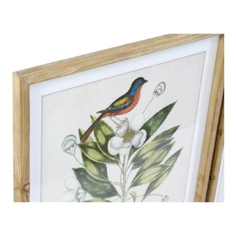 Obraz DKD Home Decor Bird 55 x 2,5 x 70 cm Tropikalny Ptaki (4 Części)