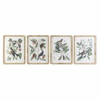 Obraz DKD Home Decor 50 x 2,5 x 65 cm Shabby Chic Rośliny botaniczne (4 Części)