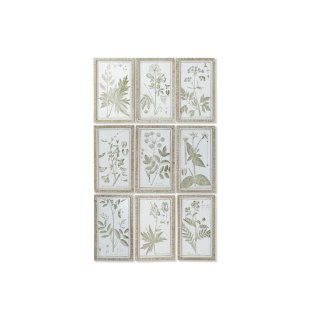 Obraz DKD Home Decor Cottage Rośliny botaniczne 30 x 2 x 50 cm (9 Sztuk)