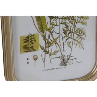 Obraz DKD Home Decor Nowoczesny Rośliny botaniczne 30 x 2 x 45 cm (9 Sztuk)