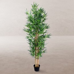 Roślina Dekoracyjna Cement Materiał Bambus 210 cm