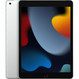 Tablet Apple iPad Srebrzysty 256 GB