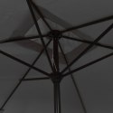  Parasol ogrodowy na metalowym słupku, 300 x 200 cm, antracytowy