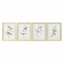 Obraz DKD Home Decor 35 x 2,5 x 45 cm Tradycyjny Ptaki (4 Części)