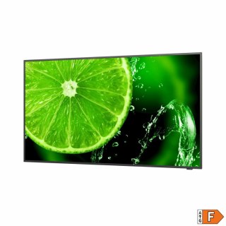 Monitor Videowall NEC 60005059 UHD 65" IPS D-LED 60 Hz 50-60 Hz 65"