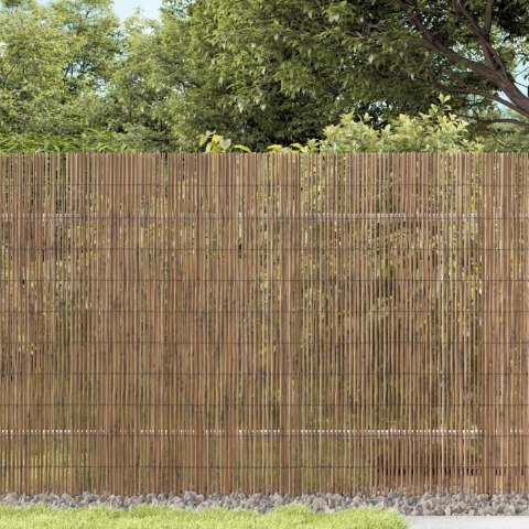  Mata ogrodzeniowa z trzciny, 300x100 cm