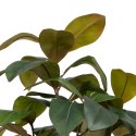 Roślina Dekoracyjna 67 x 62 x 100 cm Kolor Zielony Guma naturalna PVC