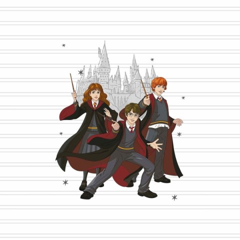 Narzuta Harry Potter HPotter Team Wielokolorowy Łóżko 90 cm