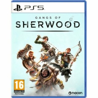 Gra wideo na PlayStation 5 Nacon Gangs of Sherwood (ES)