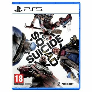 Gra wideo na PlayStation 5 Warner Games Suicide Squad