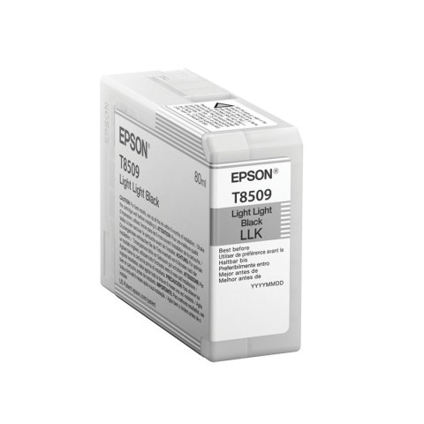 Oryginalny Wkład Atramentowy Epson C13T850900