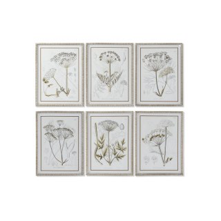 Obraz DKD Home Decor Nowoczesny Rośliny botaniczne 45 x 2,5 x 60 cm (6 Sztuk)