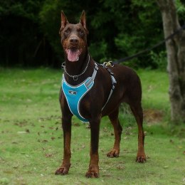 Szelki treningowe spacerowe dla psa ASTRO błękitne rozmiar XL