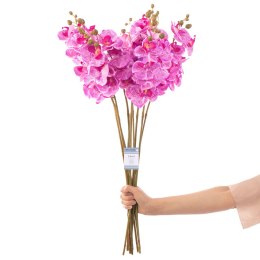Sztuczny kwiat FALENI kolor fioletowy styl nowoczesny ameliahome - ARTFLOWER/AH/FALENI/PLUM/10PCS