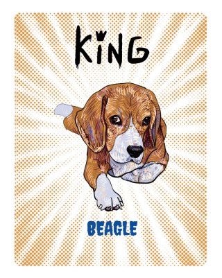 TABLICZKA KING BEAGLE YOUNG - 20x28 cm