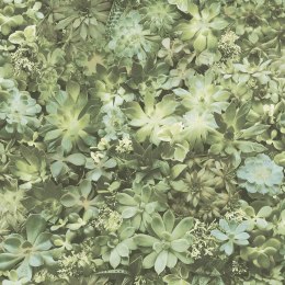 Evergreen Tapeta Succulent, zielono-beżowa