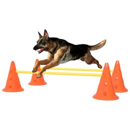 Zestaw przeszkód treningowych dla psa, pomarańczowo-żółty