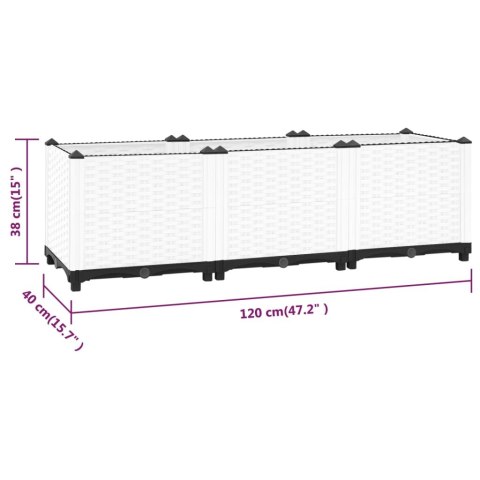 Donica do podwyższonej rabaty, 120x40x38 cm, polipropylen