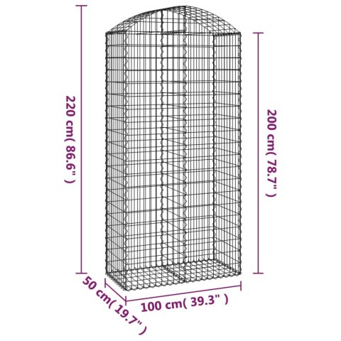 Łukowaty kosz gabionowy 100x50x200/220 cm, galwanizowane żelazo