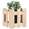  Donica ogrodowa z płotkiem, 30x30x30 cm, lite drewno sosnowe