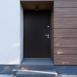  Drzwi wejściowe, antracytowe, 110x207,5 cm, aluminium