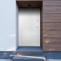  Drzwi wejściowe, białe, 100x200 cm, aluminium
