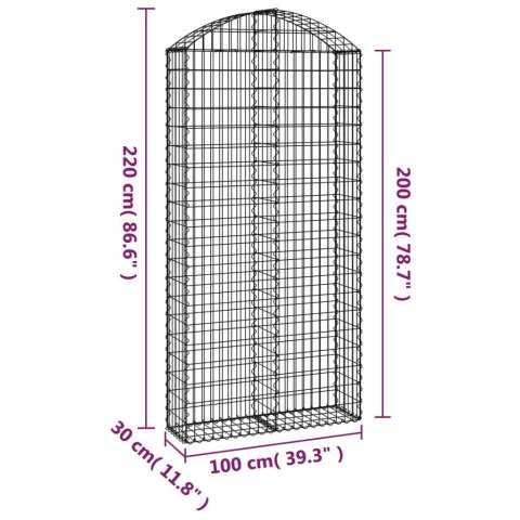 Łukowaty kosz gabionowy 100x30x200/220 cm, galwanizowane żelazo