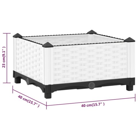 Donica do podwyższonej rabaty, 40x40x23 cm, polipropylen